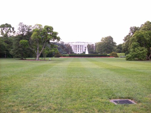The White House 