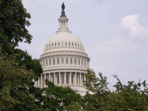 U.S. Capitol 