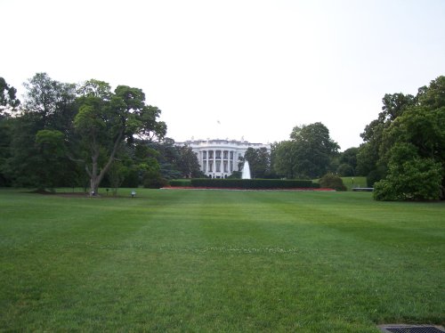 The White House 