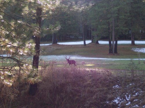 Merced river from Cathedral Beach 