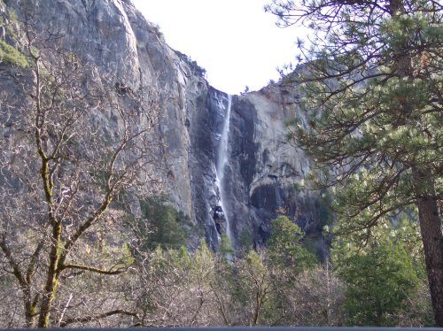 Melissa settting out peanuts for the wildlife 