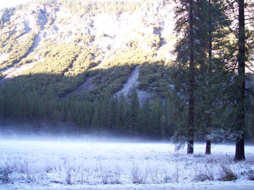 Deer on trail to Yosemite falls 
