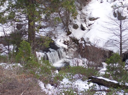 Creek near Fish Camp 