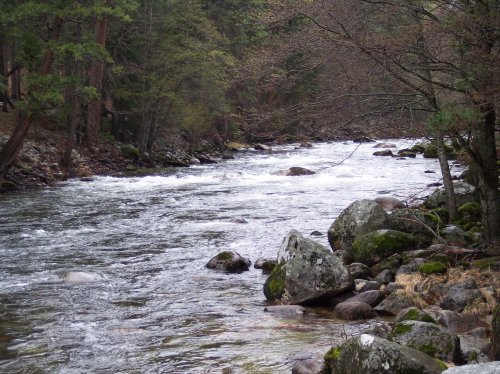 Merced River 