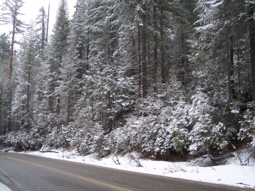 High water from Merced river 