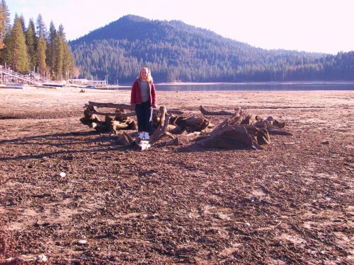 Melissa and logs in lakebed near Fall's Beach 
