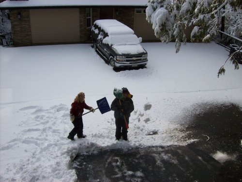 Morning snow at the cabin 