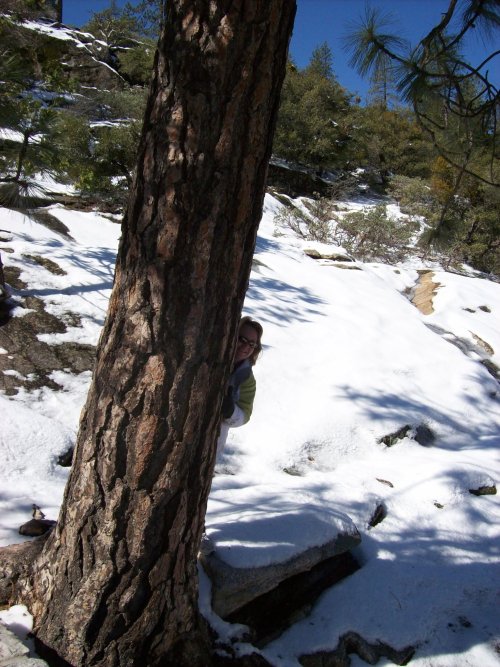 Mom peeking around tree 