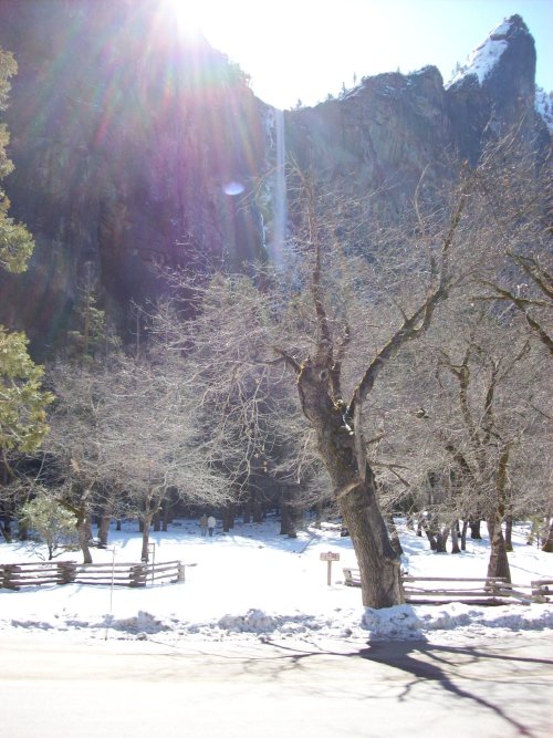 Bridalveil Falls 