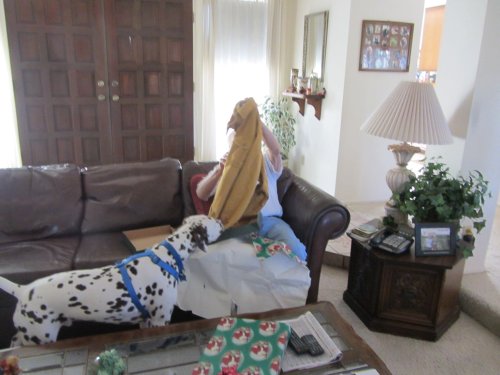 Lucky supervising Grandpa  