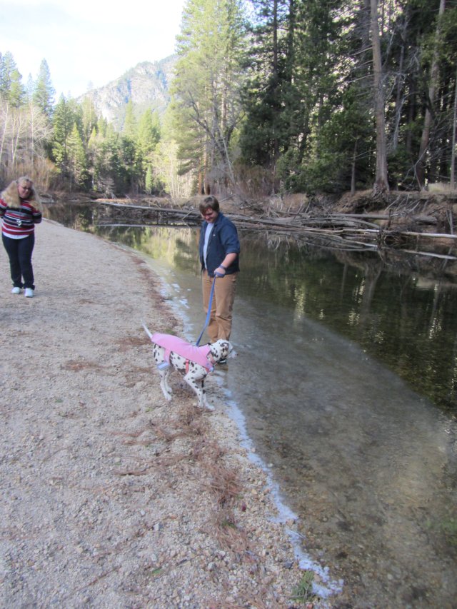 Jonny and Dixie playing on the ice 