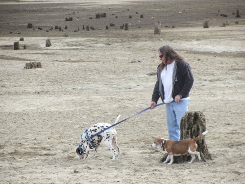 Dad, Lucky and Riley exploring  