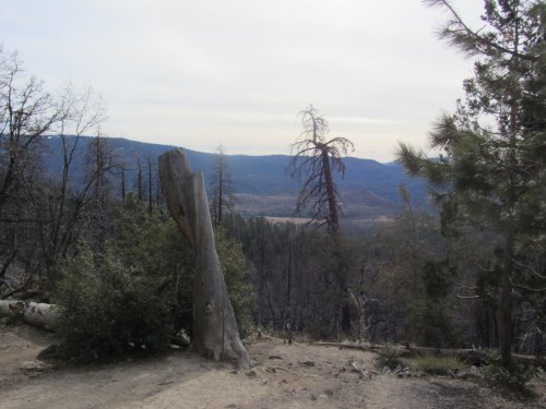 View of Oak Flat Meadow 