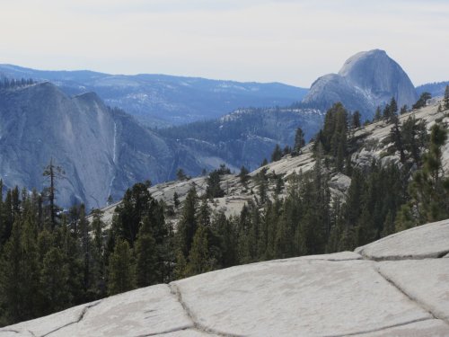 View of Half Dome from Tioga Pass road 