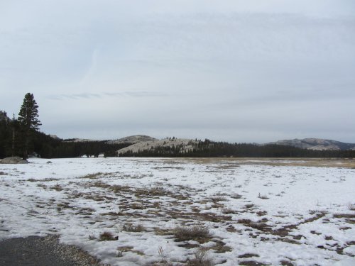 Tuolome Meadow 