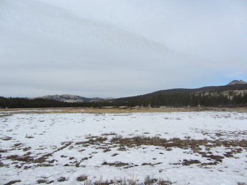 Tuolome Meadow 