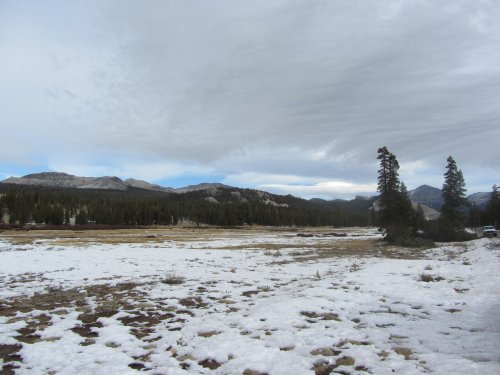 Tuolome Meadow 