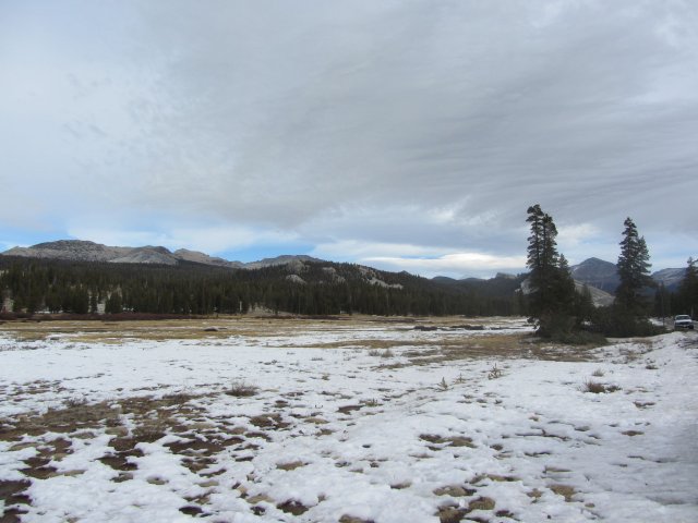 Tuolome Meadow 
