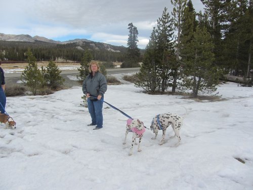 Lori and dogs at Tuolome Meadow 