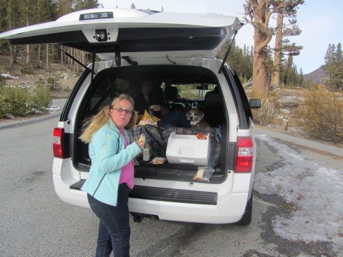 Lunch time at Tioga Pass 
