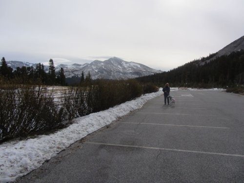 Lori walking dogs at Tioga Pass 