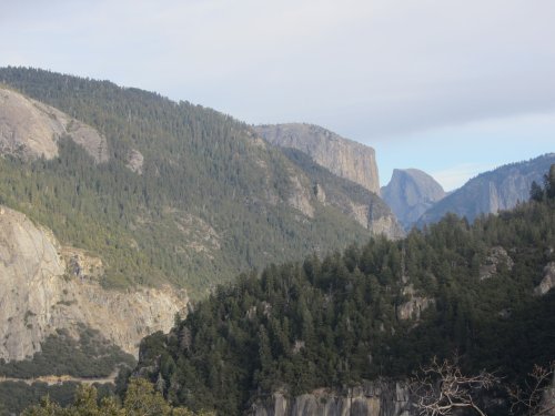 Half dome from Tioga road 