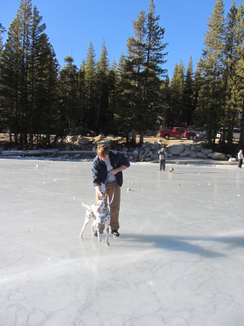 Jonny and Lucky on ice 