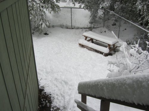Snow in backyard 