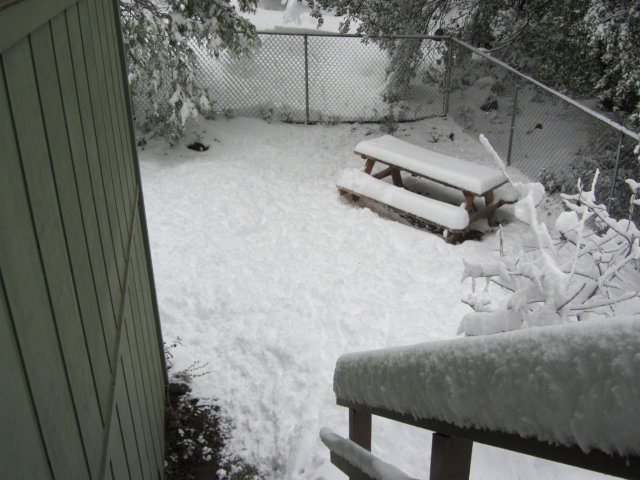 Snow in backyard 