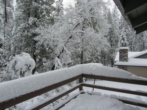 Snow scene 