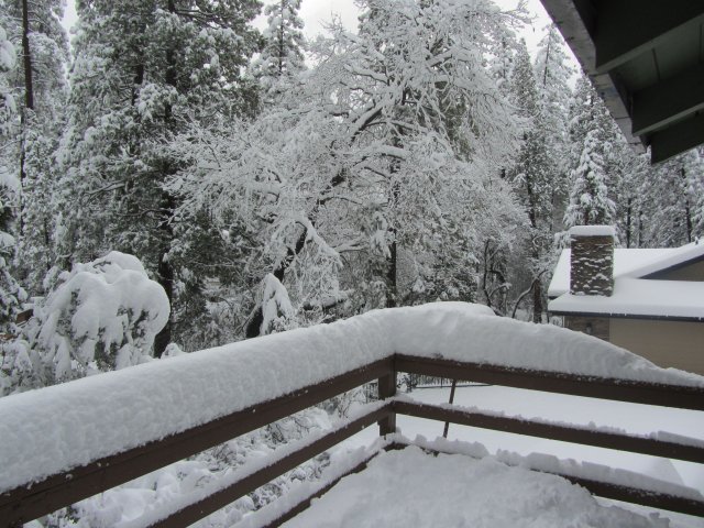 Snow scene 