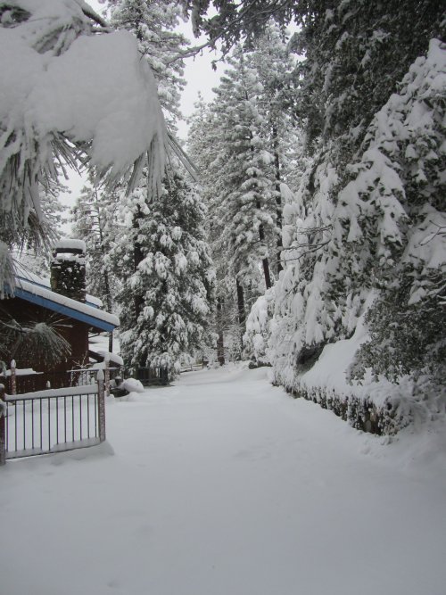 Snow on Spur 