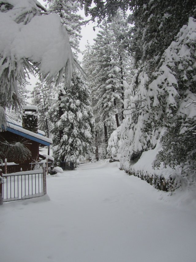 Snow on Spur 
