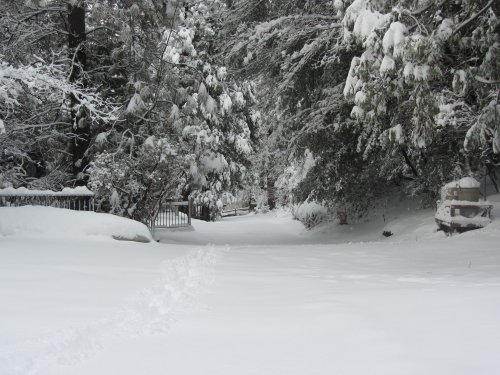 Snow on the road 