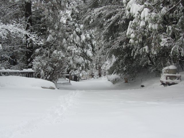 Snow on the road 
