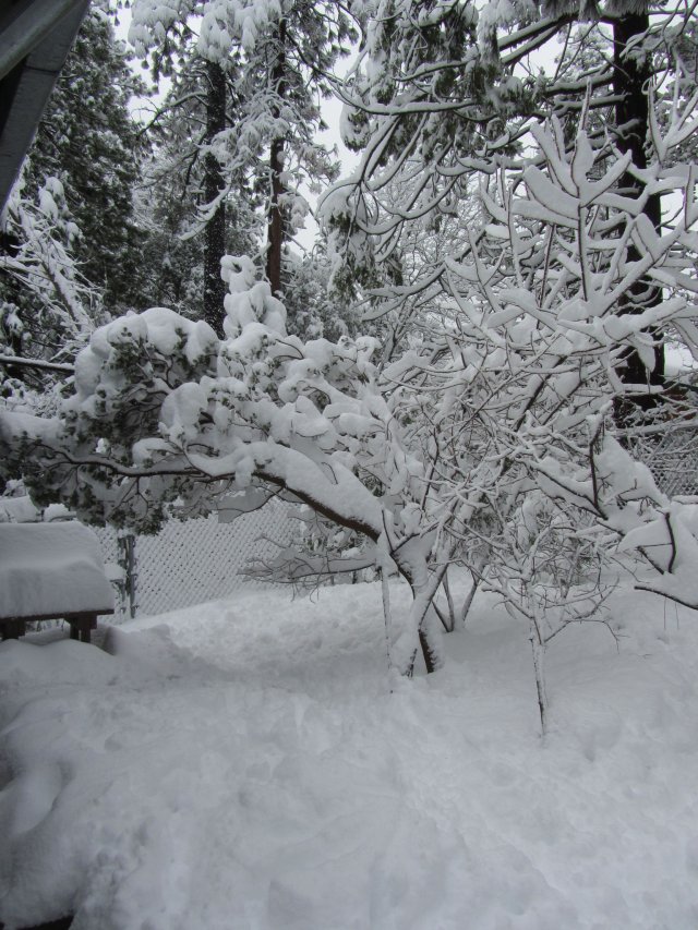 Snow on grandma and grandpa's porch 