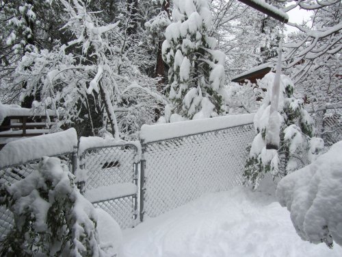 Snow in side yard 