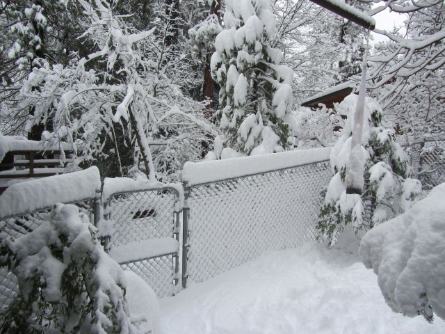 Snow in side yard 