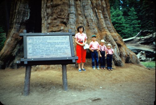 Family at Mariposa Grove 