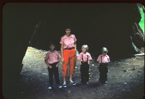 Family in base of burned tree 