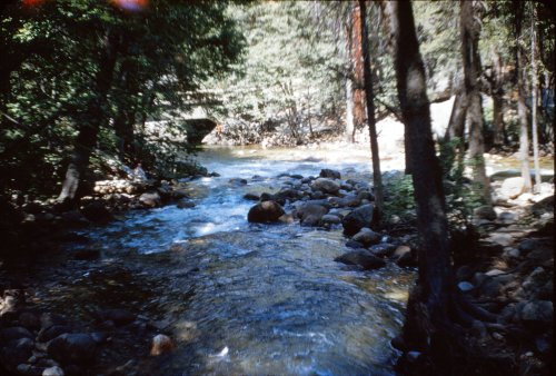 Junction of streams - Happy Isles 