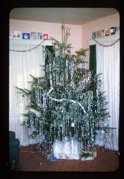 Christmas tree 