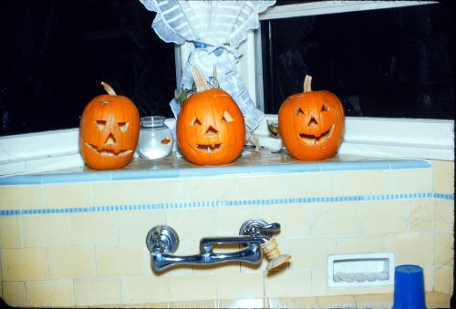 Pumpkins 