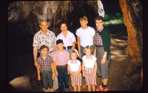 Group inside burned tree 