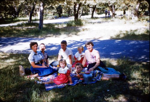 Picnic lunch in valley apple orchard 