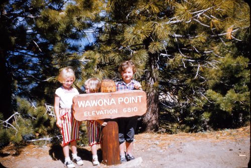 Diane, Linda, Margie 