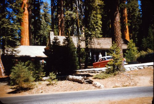 Big Trees Lodge 