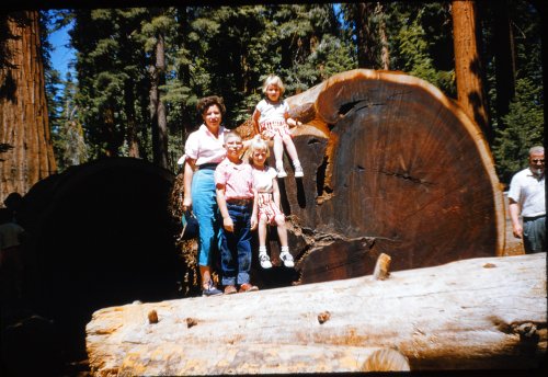 Dot and kids 