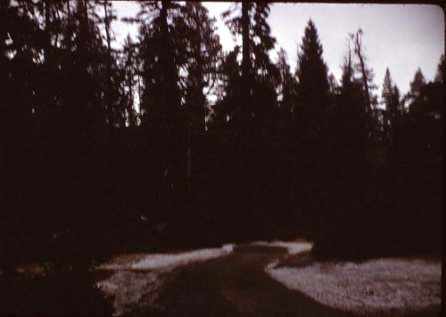 81-8