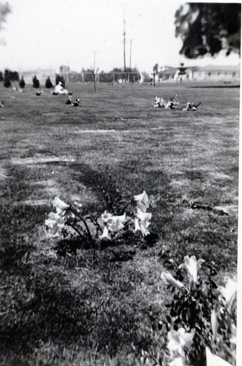 07-4